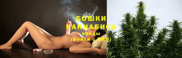spice Няндома