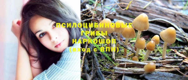 а пвп мука Баксан