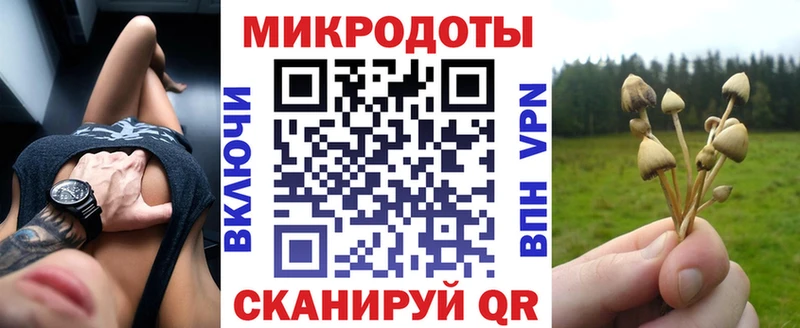 Псилоцибиновые грибы Cubensis  купить   мега   Сураж 